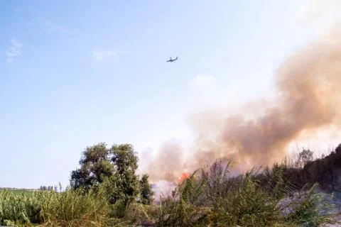 Large Wild Fire Stock Photos