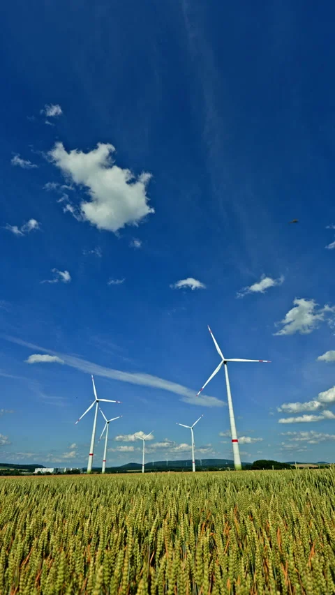 Large windmill generators in a field against a wheat field background. Eco Stock Footage 312985545