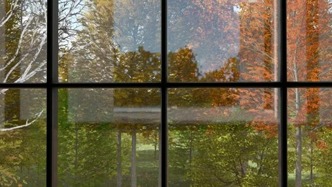 Large Window Overlooking Autumn Garden Interior View Stock Footage 312972993