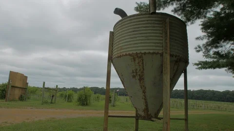 Large wine vineyard container Stock Footage 95036921