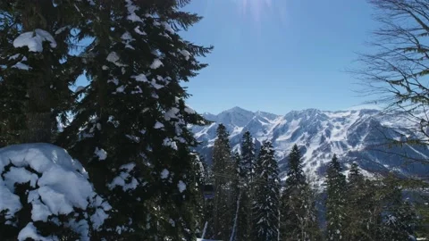 Large winter pine tree and snowy mountains captured by drone Video stock 136125276
