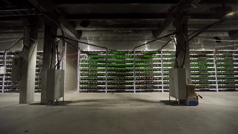 Large wired internet datacenter storage. Cryptocurrency mining equipment on Stock Footage 126409656
