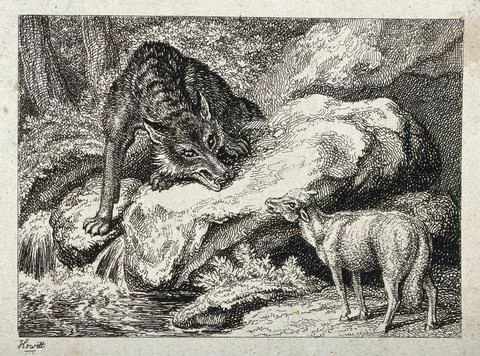 A large wolf snarling from across a stream at a bleating lamb. Etching by W.. Stock Illustration