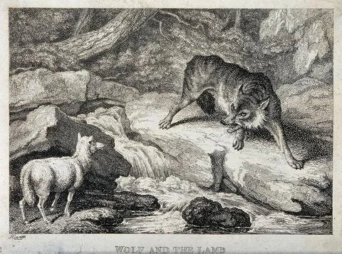 A large wolf snarling from across a stream at a bleating lamb. Etching by W.. Stock Illustration