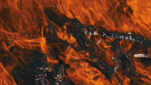 Large Wood Fire Burning Slow Motion Stock-Footage 76182346