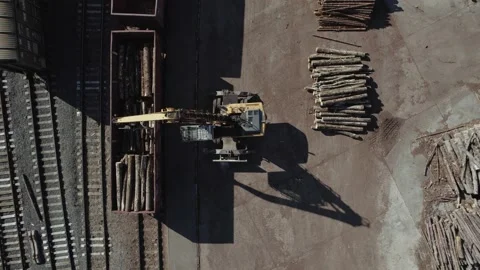 Large wood processing factory, view from a height of a large number of logs Stock Footage 218420539