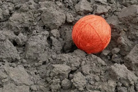 Large woolen yarn of orange threads on arable land Stock Photos