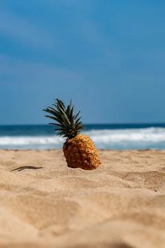 A large yellow pineapple isolated on a beach during a summer day Foto stock