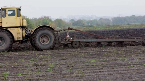 Large yellow Russian tractor with a plow plows up the soil in a cabbage field Stock Footage 169133400
