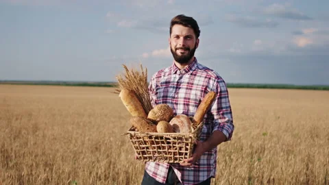 Large young wheat field smiling large man farmer looking straight to the camera Stock Footage 136366058