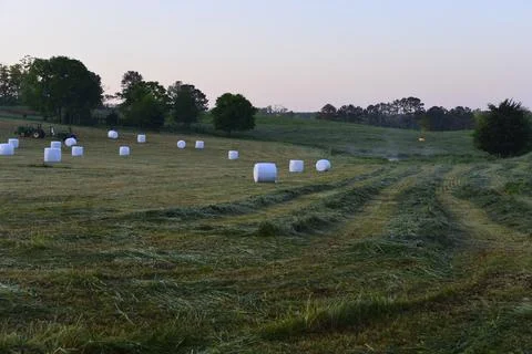 LargeHayBails Stock Photos