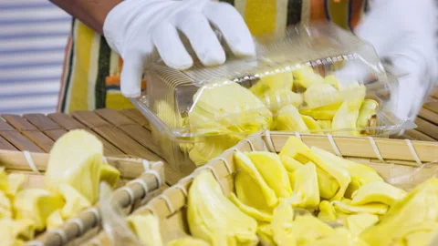 Largely the woman's hands, she puts Jackfruit in a plastic container. Видео 90781306