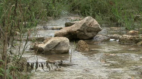 LargeRocks Video stock 532541