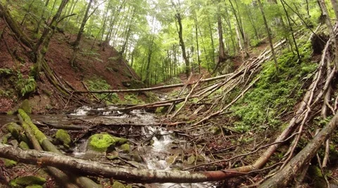 The largest and most mysterious forest waterfall in the mountains of the Carpath Stock Footage 43937347