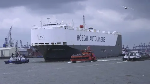 The Largest RoRo Vessel Stock Footage 196970839