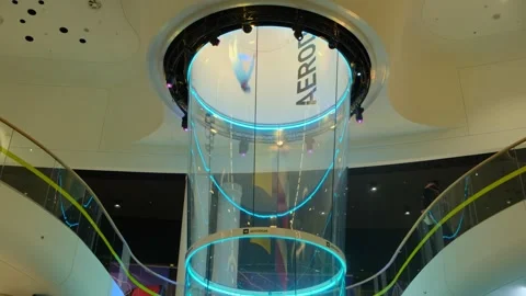 The largest wind tunnel. Indoor skydiving instructor training participant in Stock Footage 307781926