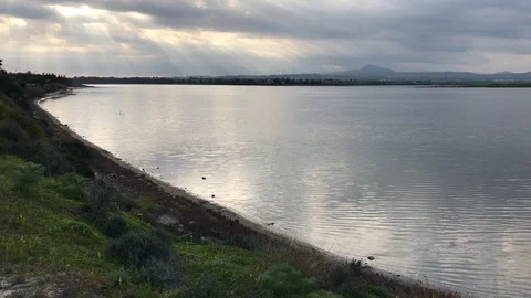 Larnaca Salt Lake Stock Footage 89680843