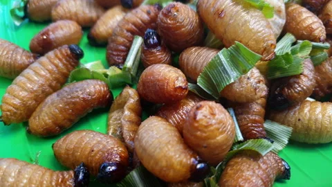 Larva palm worm weevil deep fried fat insect snack sell exotic food in Sout.. Stock Footage 245821733