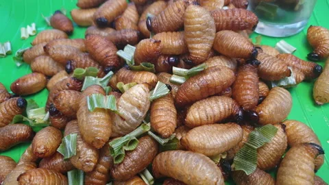 Larva palm worm weevil deep fried insect snack sell exotic food in Southeas.. Stock Footage 247506315