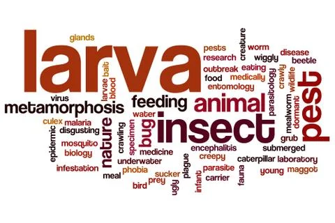 Larva word cloud Stock-Illustration