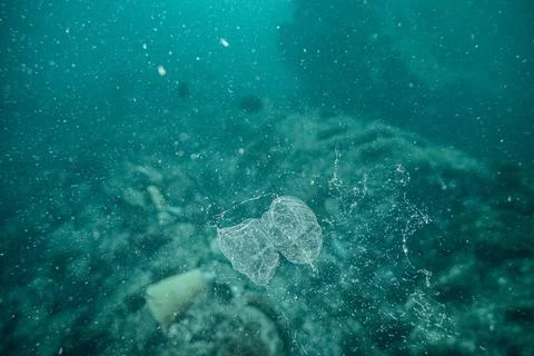 Larvacean 02 Stock Photos