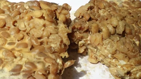 Larvae on rotten tempeh. Stock Footage 197518440