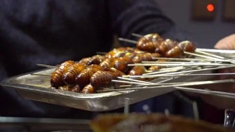 The larvae of silkworm on the grill plate. Exotic dish. Chinese cuisine Stock Footage 72245494