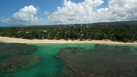 Las ballenas beach 04 Vídeos de archivo 320739689
