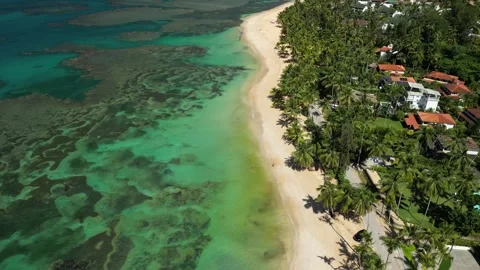 Las ballenas beach 19 動画素材 320740966