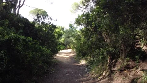 Las Canteras Stockbeeldmateriaal 135868747