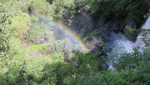Las Cataratas de Iguazú Stock Footage