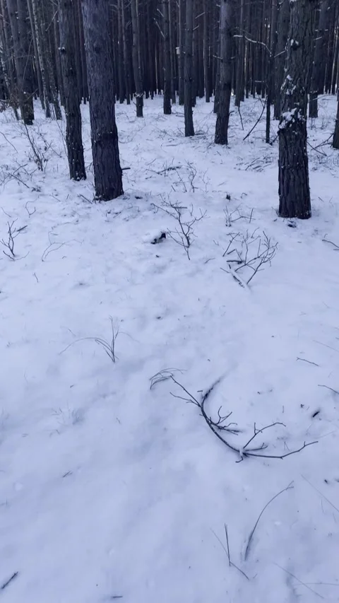 Las Video stock 325727342