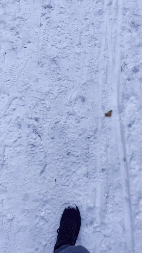 Las Video stock 325727343