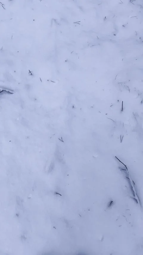 Las Video stock 325727354