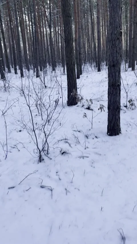 Las Stock Footage 325727355