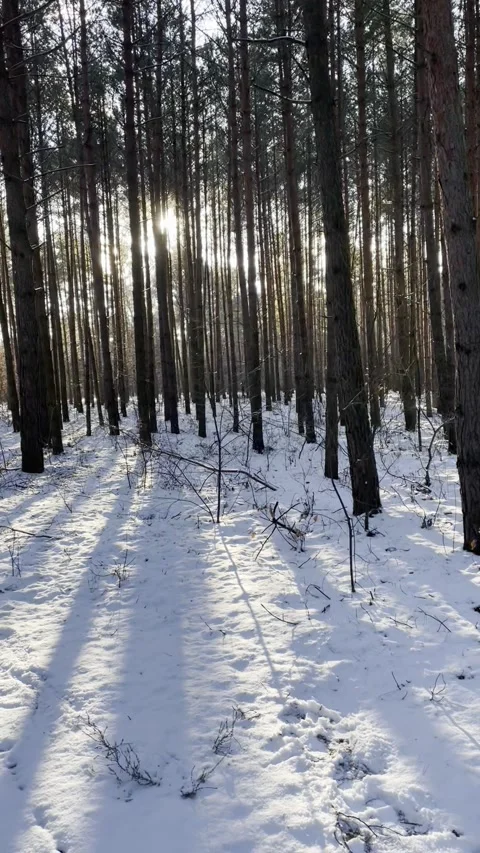 Las Video stock 325727372