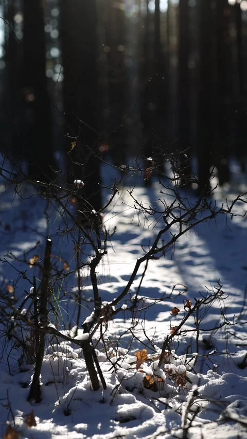 Las Stock Footage 325727414