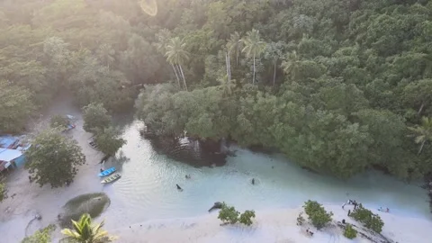 Las Galeras Rincon Beach Caño Frio River Dominican Republic Stock Footage 168989512