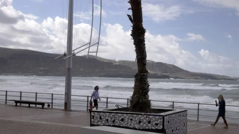 LAS PALMAS Stock Footage 256232598