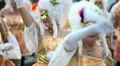 Las Palmas Gran Canaria carnival parade HD Footage