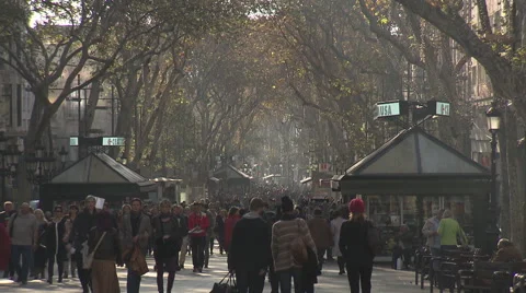 Las Ramblas in Barcelona Stock Footage 59559070