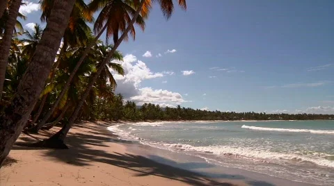 Las Terrenas Beach and Surf 스톡 동영상 644917