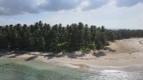 Las Terrenas Beach Dominican Republic Stock Footage 168918704