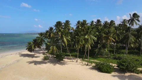 Las Terrenas Beach Dominican Republic Stock Footage
