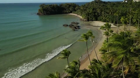 Las Terrenas Coastal Landscape from the Air -06 Vídeos de archivo 337257022