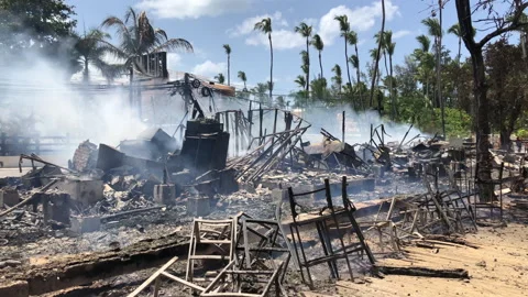 In Las Terrenas Dominican Republic 動画素材 195540151