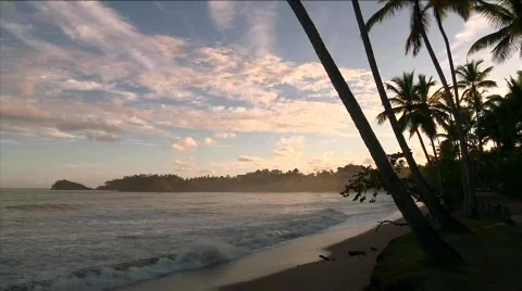 Las Terrenas Morning Surf 2 库存影片 645628