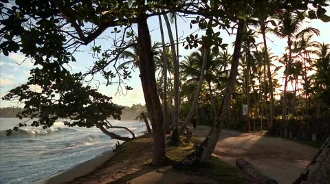 Las Terrenas Waves and Road with Woman 스톡 동영상 645608