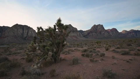 Las Vegas 2021 Video stock 167336477