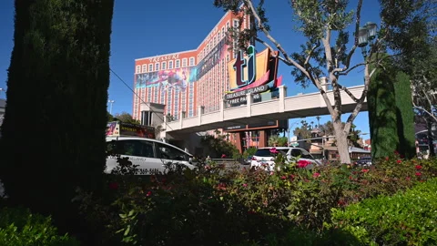 Las Vegas 2021 Video stock 167336855